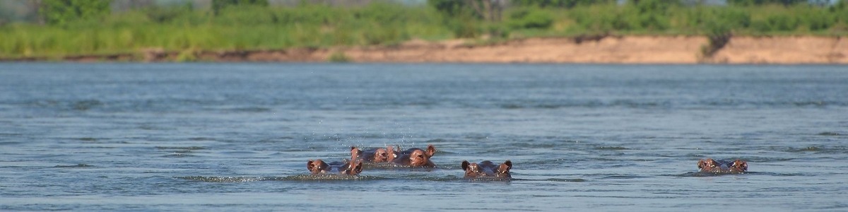 Botswana, Großwild und Okavango