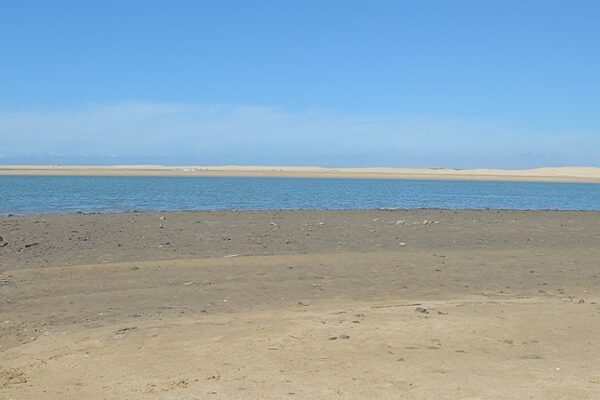 Aufmacher Addo Elephant Nationalpark