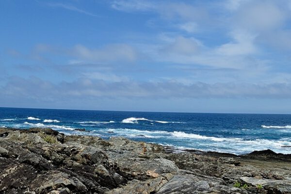 aufmacher gardenroute
