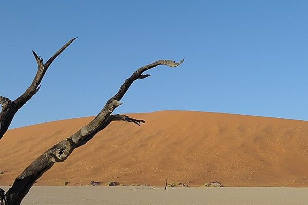 Aufmacher Sossusvlei