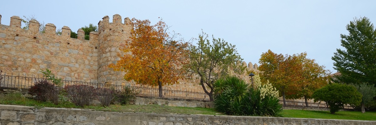 Aufmacher Avila